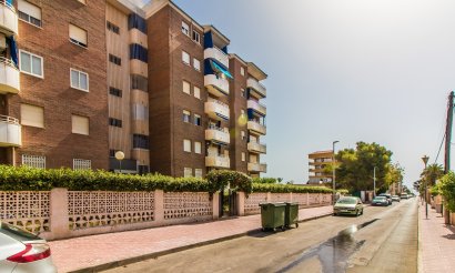 Long Term Rental - Apartment / flat - Torrevieja - Punta Prima