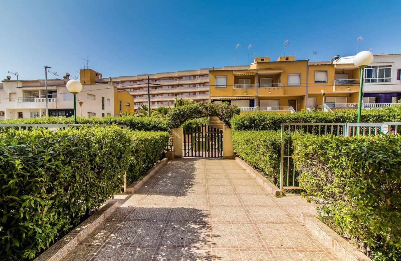 Long Term Rental - Apartment / flat - Torrevieja - Punta Prima