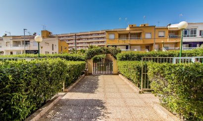 Long Term Rental - Apartment / flat - Torrevieja - Punta Prima