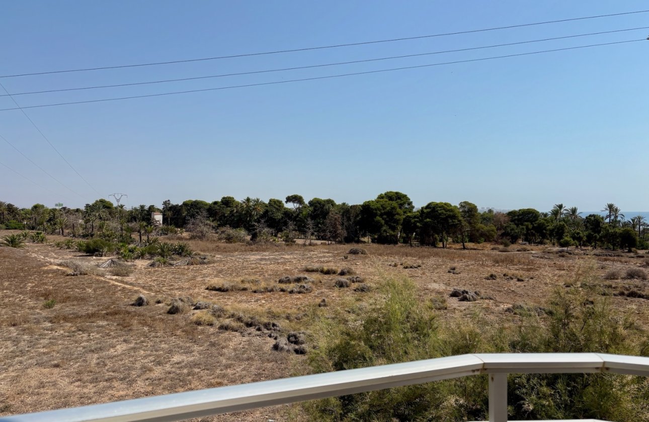 Long Term Rental - Apartment / flat - Torrevieja - Punta Prima