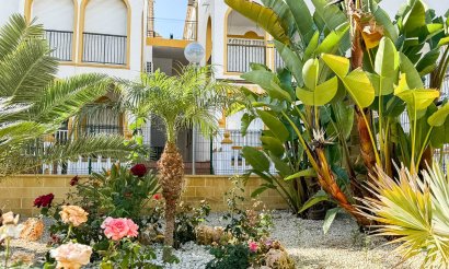 Reventa - Ático - Torrevieja - Torrelamata - La Mata