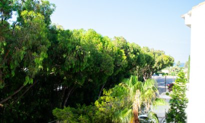 Resale - Penthouse - Orihuela Costa - Playa Flamenca Norte
