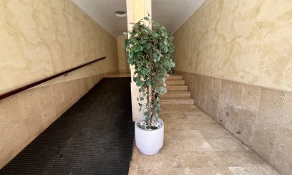 Reventa - Apartamento / piso - Almoradí