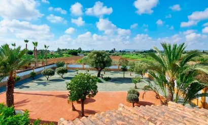 Reventa - Villa - Catral - Catral - Country