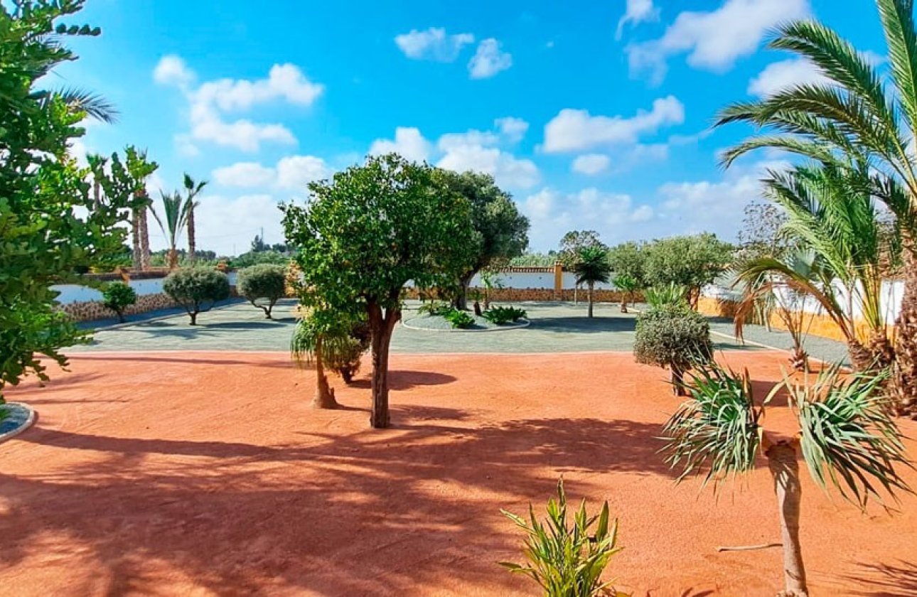 Reventa - Villa - Catral - Catral - Country