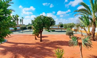 Reventa - Villa - Catral - Catral - Country