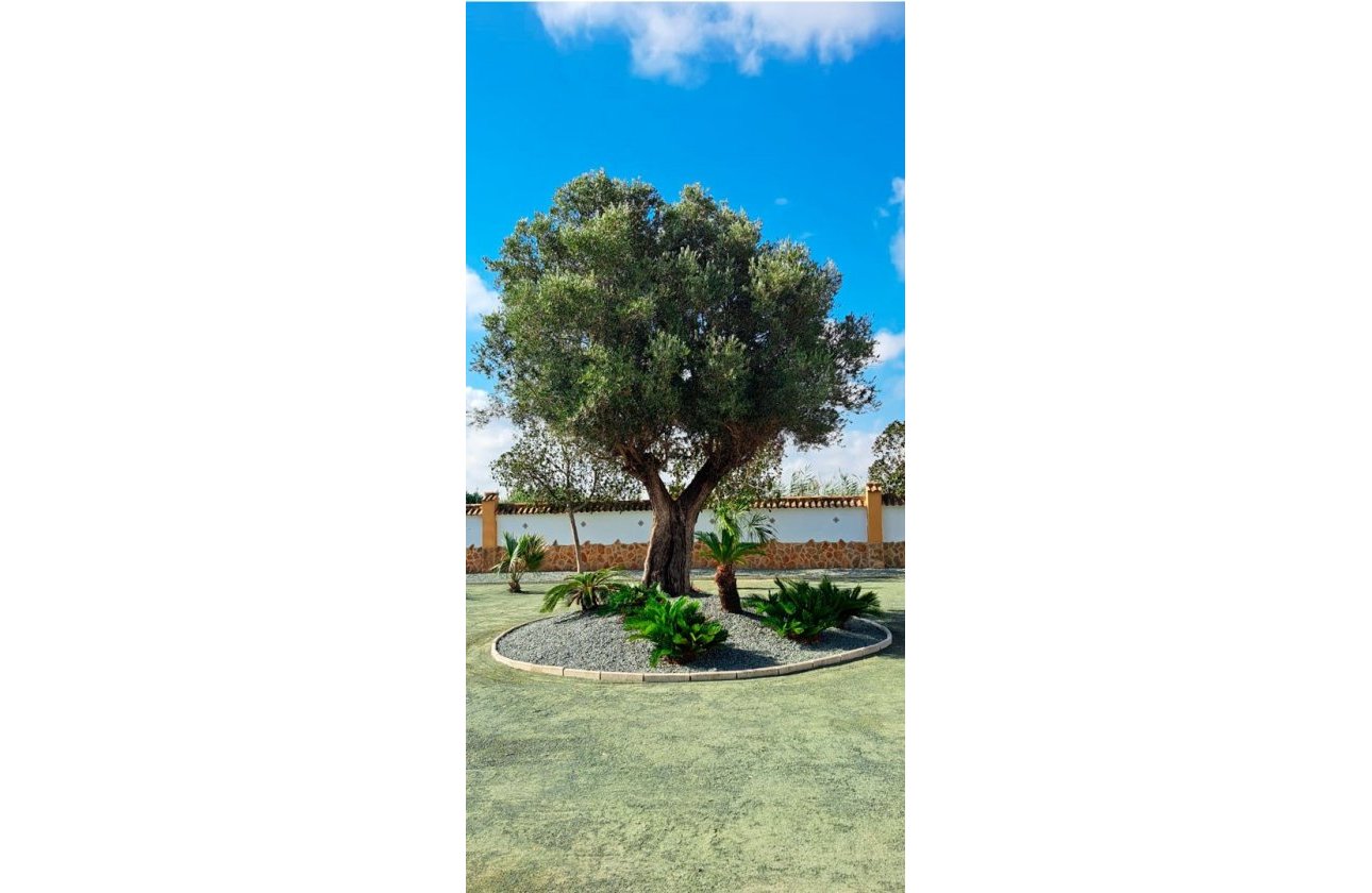 Reventa - Villa - Catral - Catral - Country