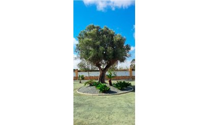 Reventa - Villa - Catral - Catral - Country