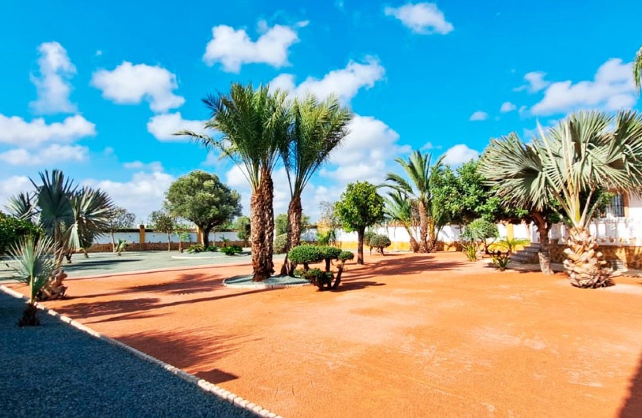 Reventa - Villa - Catral - Catral - Country