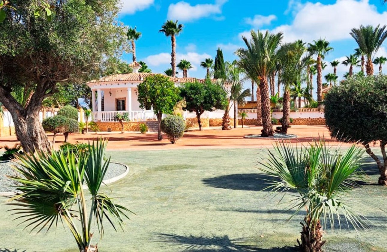 Reventa - Villa - Catral - Catral - Country