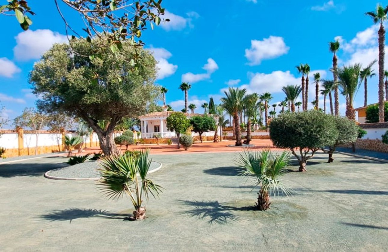 Reventa - Villa - Catral - Catral - Country
