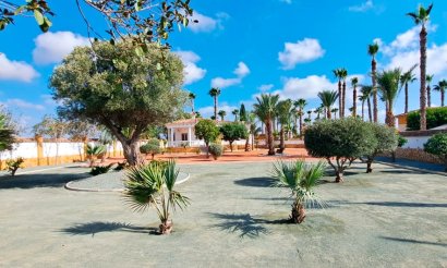Reventa - Villa - Catral - Catral - Country