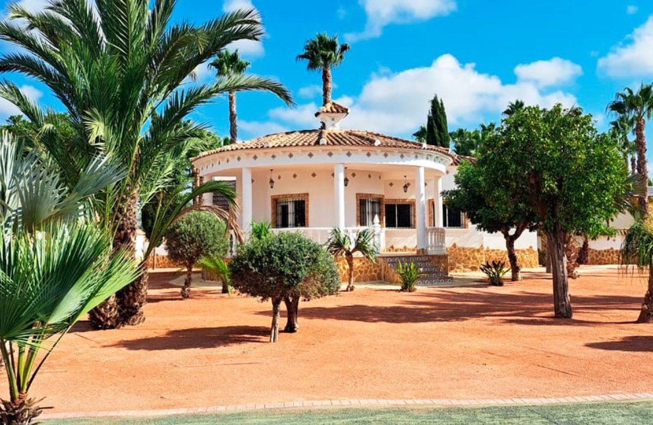 Reventa - Villa - Catral - Catral - Country