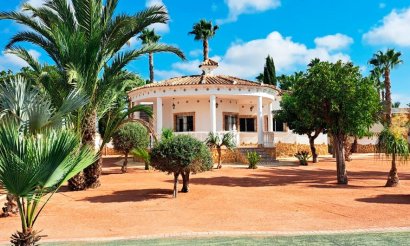 Reventa - Villa - Catral - Catral - Country