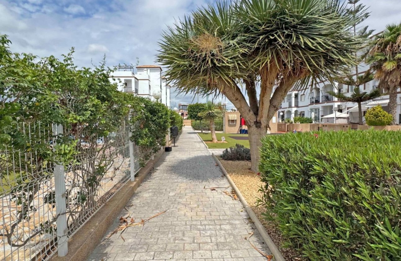 Resale - Apartment / flat - Orihuela Costa - Punta Prima