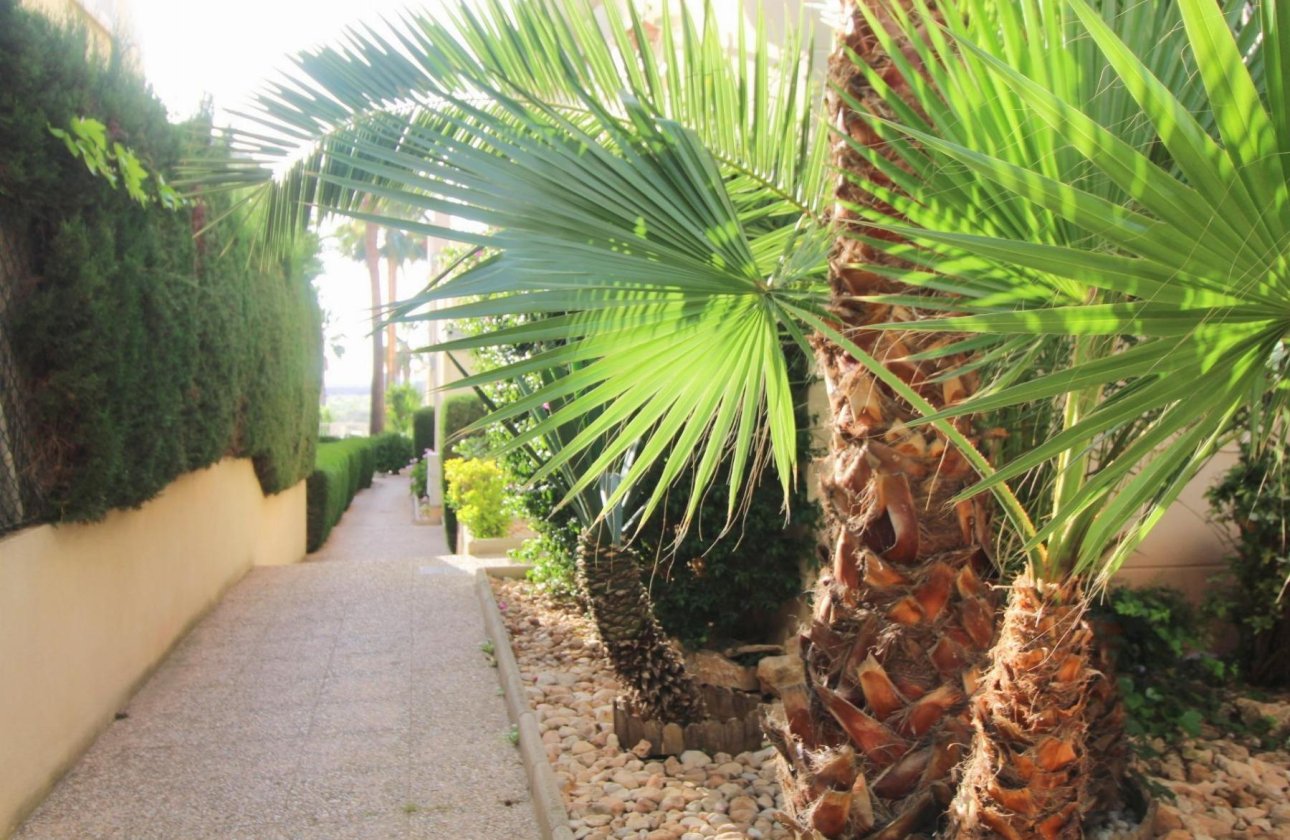 Reventa - Apartamento / piso - Torrevieja - La Veleta