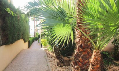 Reventa - Apartamento / piso - Torrevieja - La Veleta