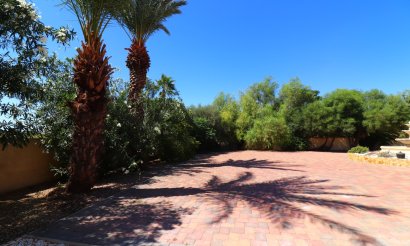 Resale - Villa - Catral - Catral - Country