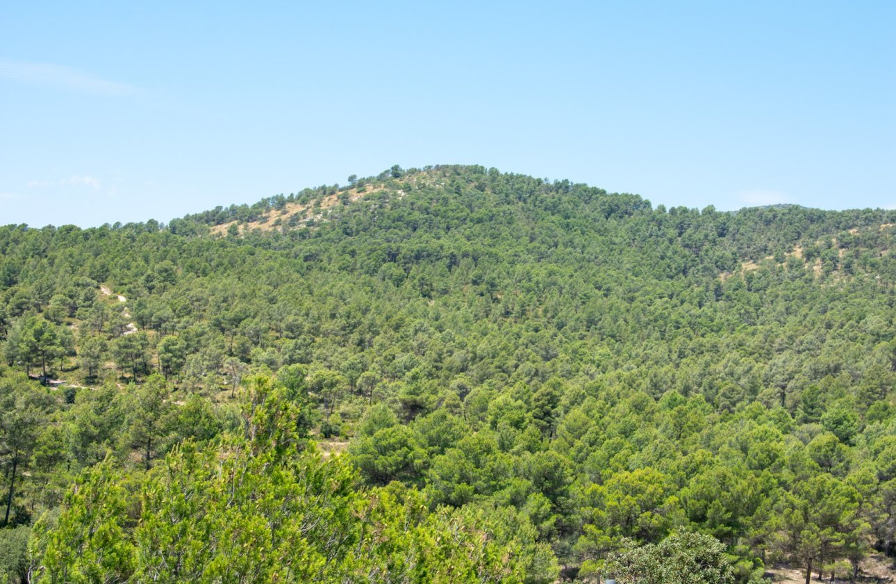 Resale - Villa - Onil