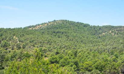 Resale - Villa - Onil