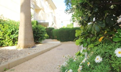 Reventa - Apartamento / piso - La Veleta - La veleta