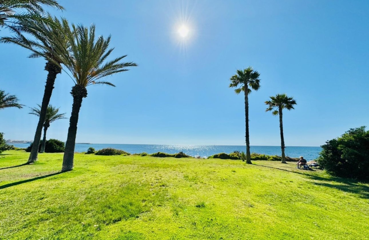 Reventa - Apartamento / piso - La Veleta - La veleta