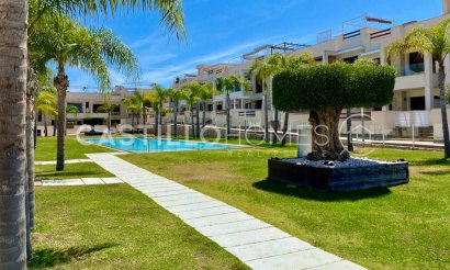 Resale - Bungalow - Torrevieja - Los Balcones