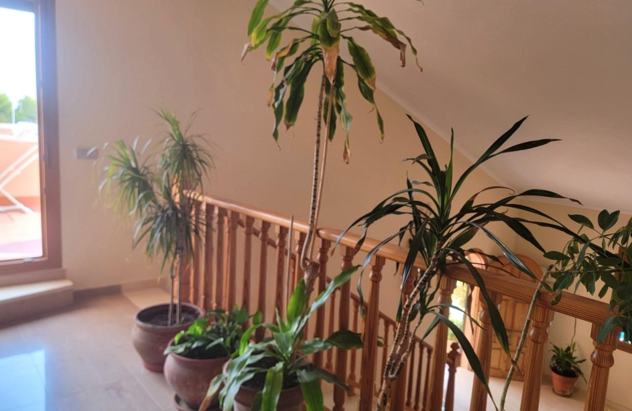 Resale - Villa - Torrevieja - Aguas Nuevas