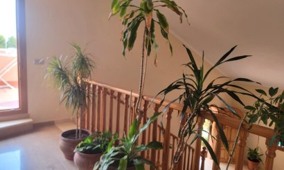 Resale - Villa - Torrevieja - Aguas Nuevas