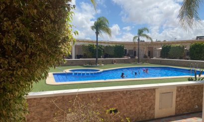 Resale - Townhouse - Orihuela Costa - Mil Palmeras