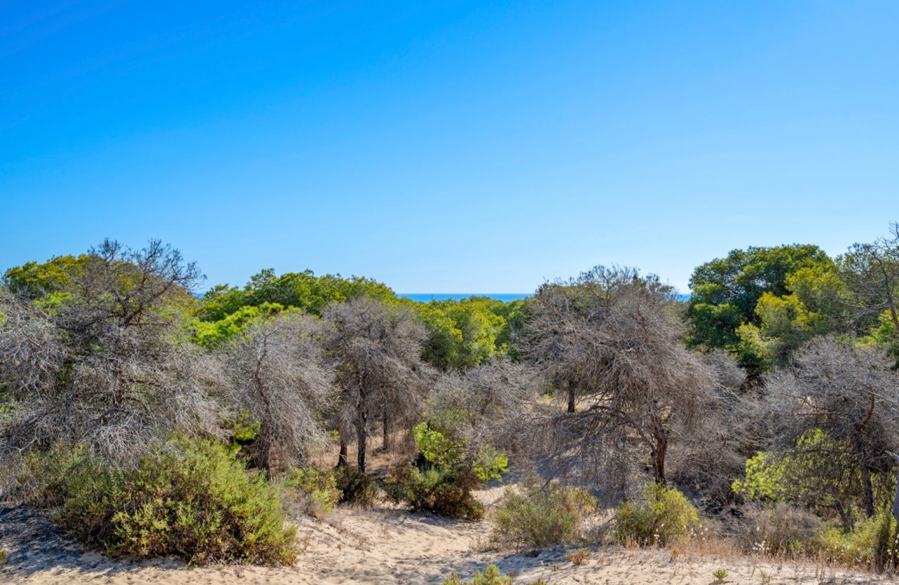 Resale - Apartment / flat - Guardamar del Segura - Guardamar