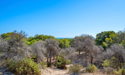 Resale - Apartment / flat - Guardamar del Segura - Guardamar