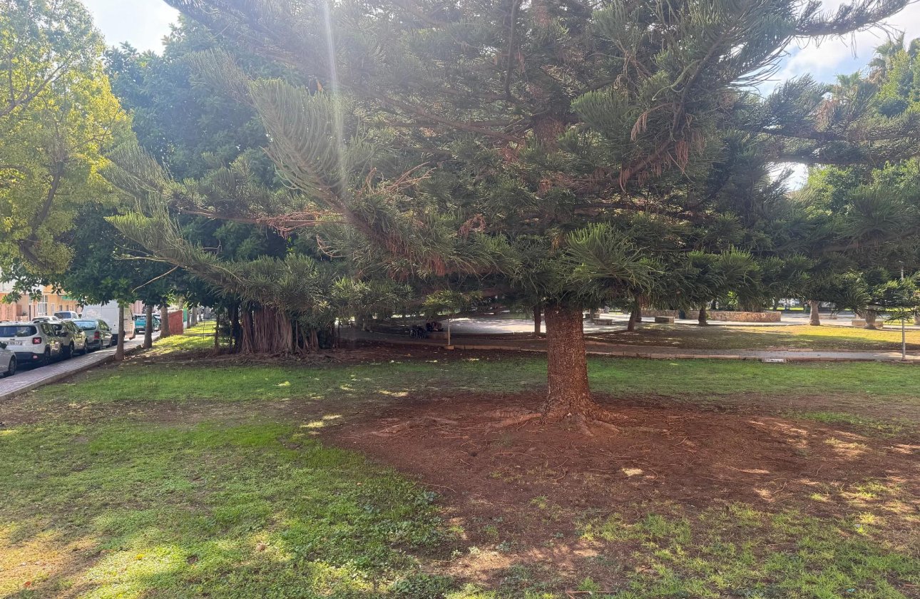 Revente - Appartement - Torrevieja - Playa del Acequión