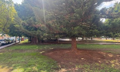 Revente - Appartement - Torrevieja - Playa del Acequión