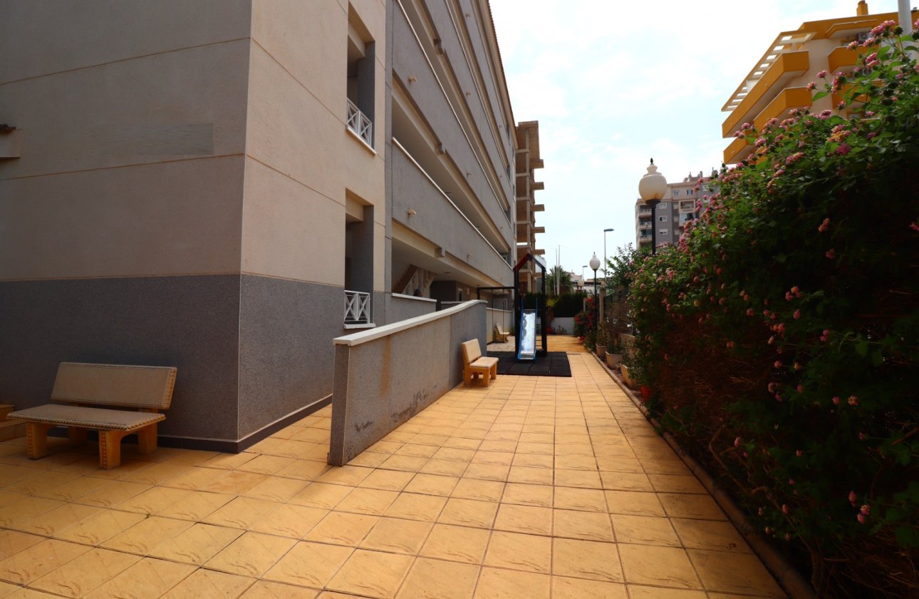 Resale - Apartment / flat - Guardamar del Segura - Guardamar del Segura - Town