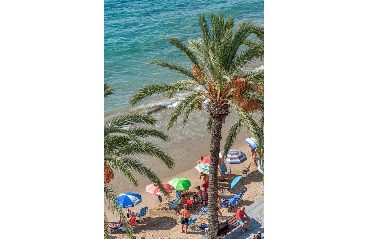 Resale - Apartment / flat - Torrevieja