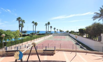 Resale - Penthouse - Pilar de la Horadada - Pueblo Latino